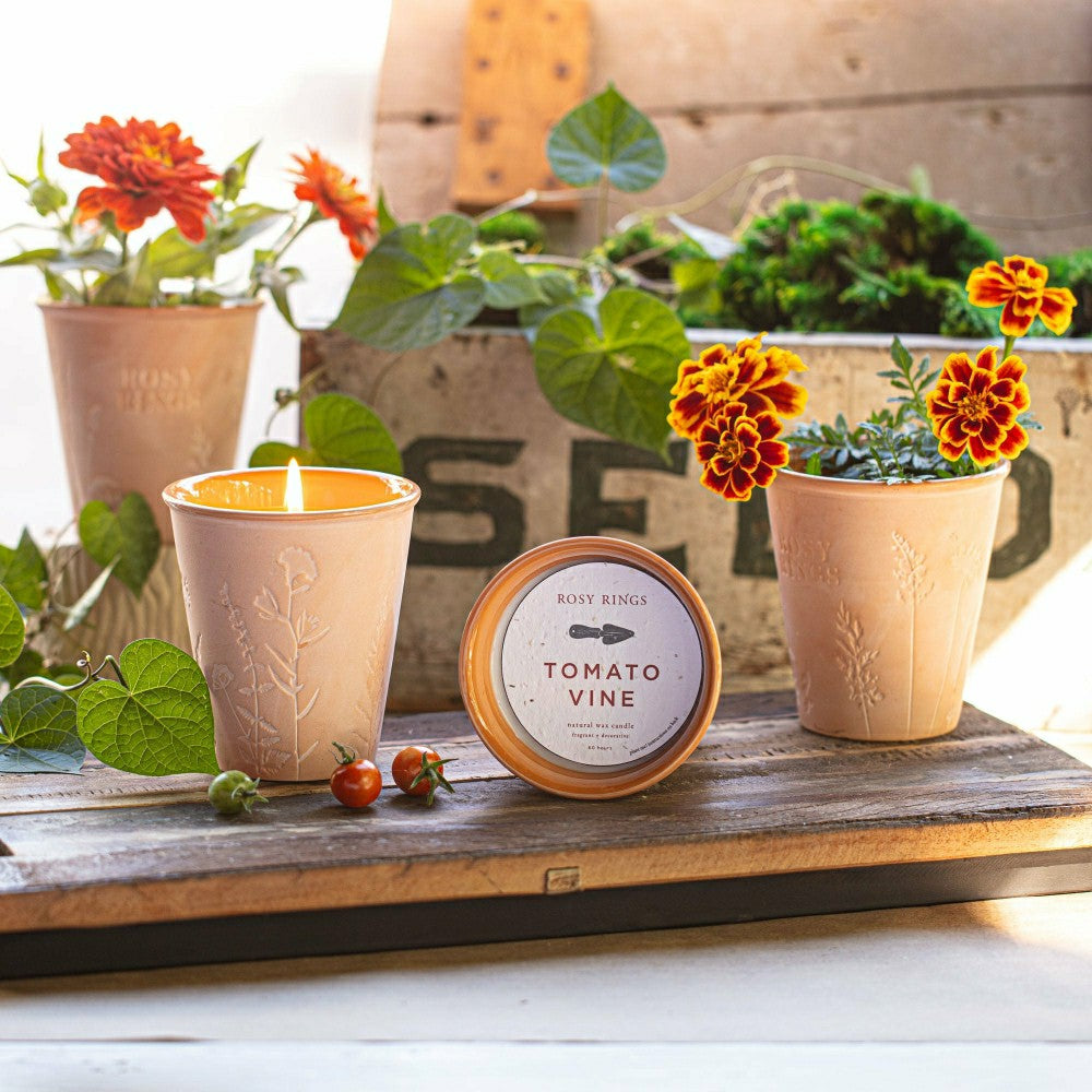 Plow & Hearth Basil Orange Garden Pot Candle + Plantable Seed Paper Dust Covers