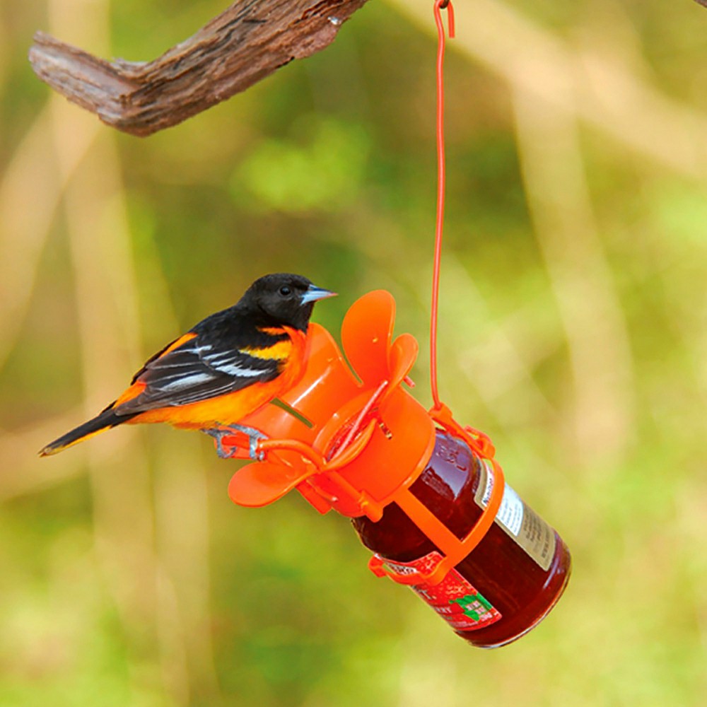Plow & Hearth Jelly/Jam Jar Oriole Bird Feeder