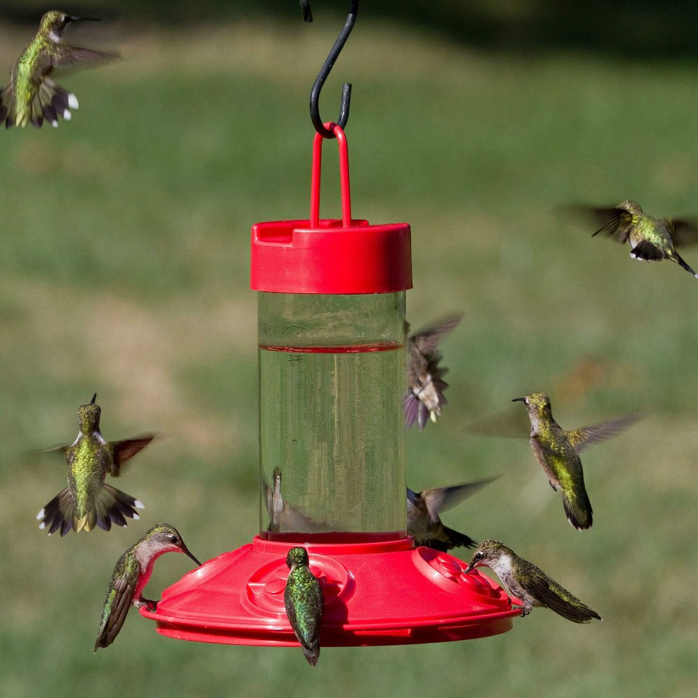 Plow & Hearth Dr. JB's 16-Ounce Dishwasher-Safe Hummingbird Feeder