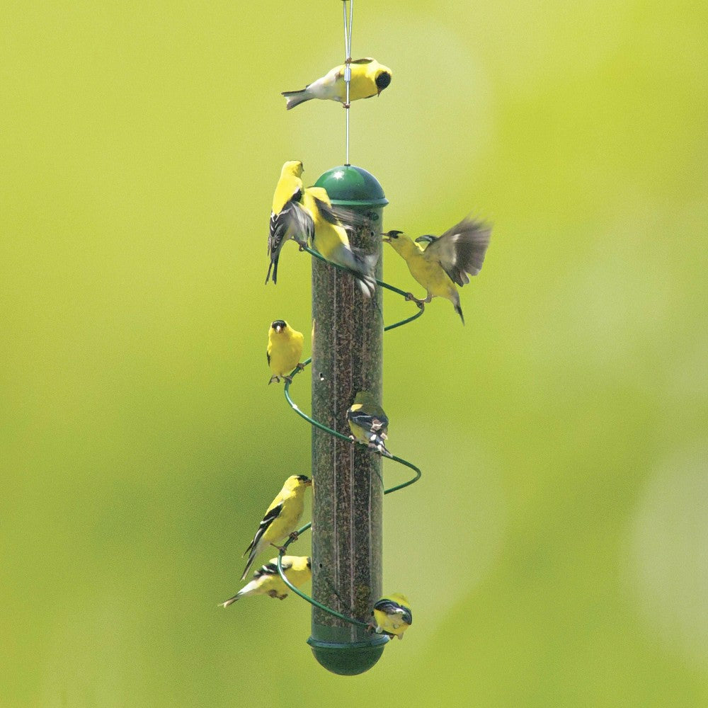 Plow & Hearth Green Spiral-Perch Finch Bird Feeder