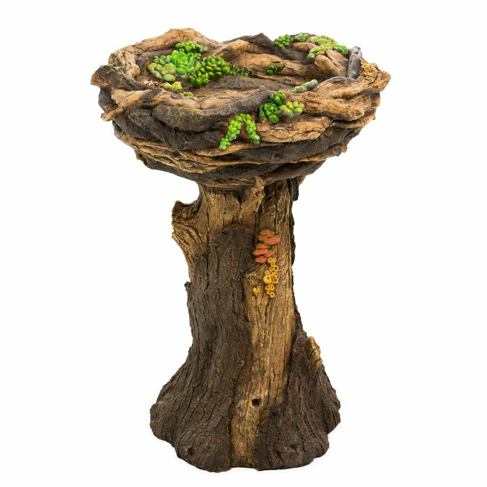 Plow & Hearth Succulent Bird Nest Tree Stump Birdbath