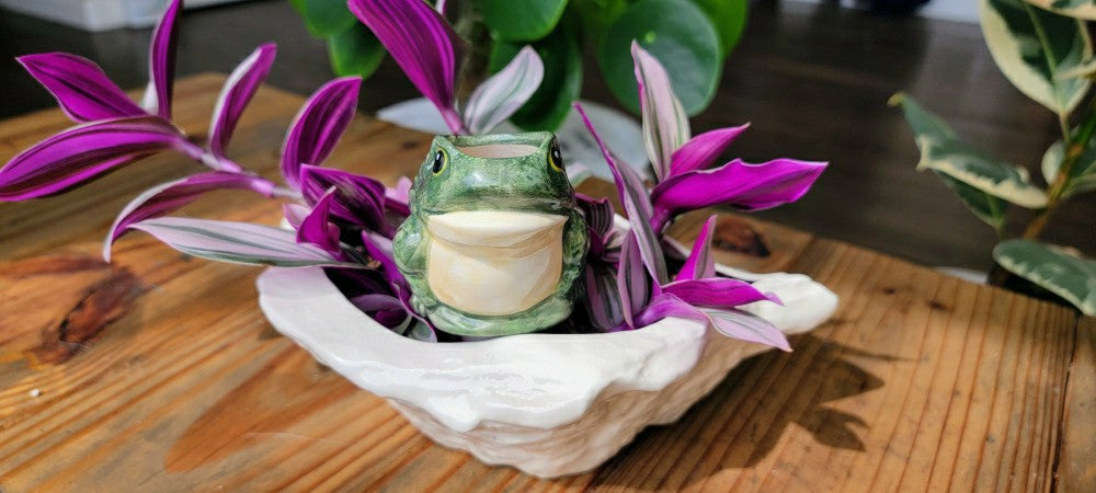 Plow & Hearth Frog Watering Spike