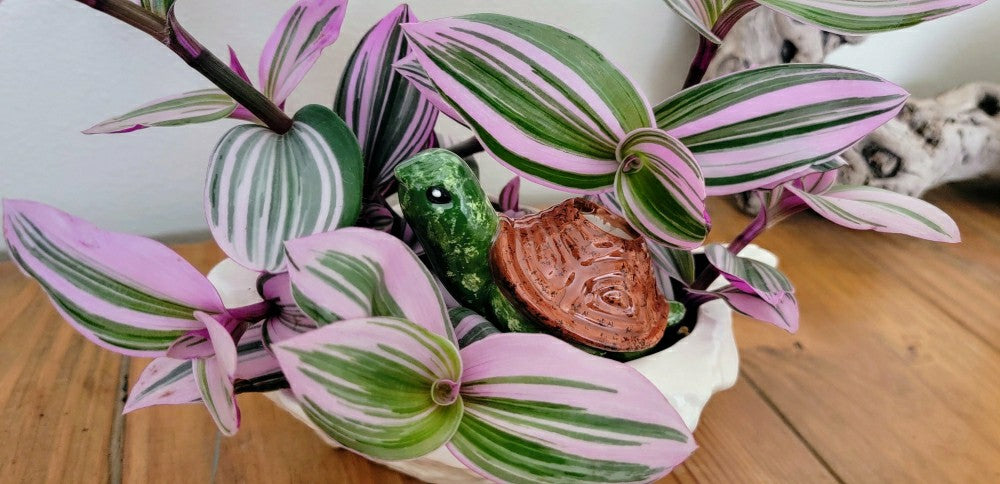 Plow & Hearth Turtle Plant Watering Spike