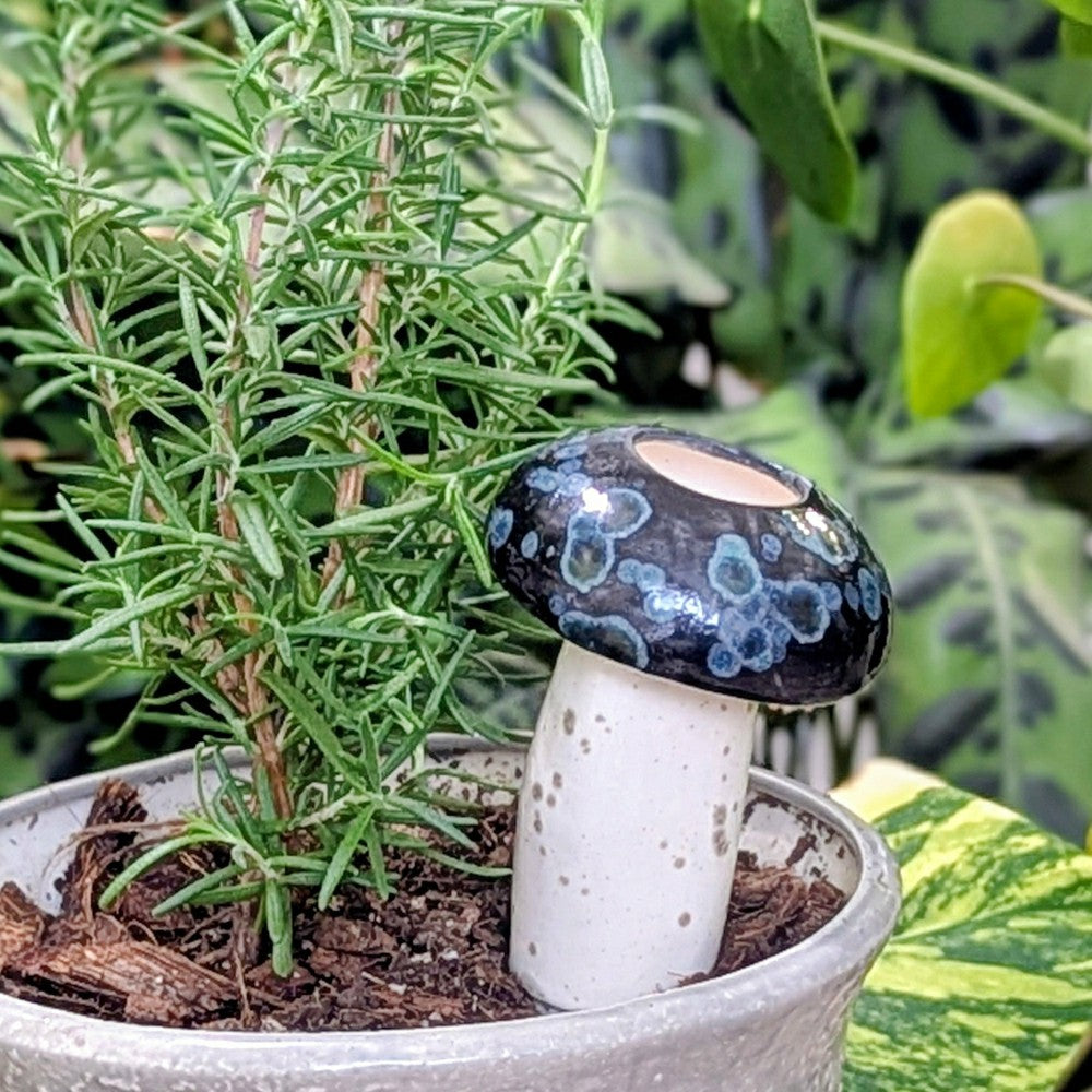 Plow & Hearth Medium Mushroom Watering Spike