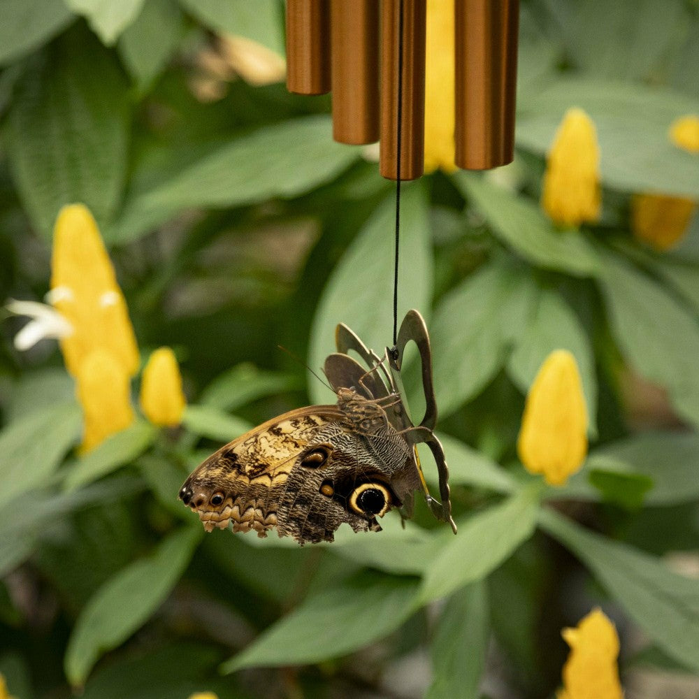 Plow & Hearth Woodstock My Butterfly Chime