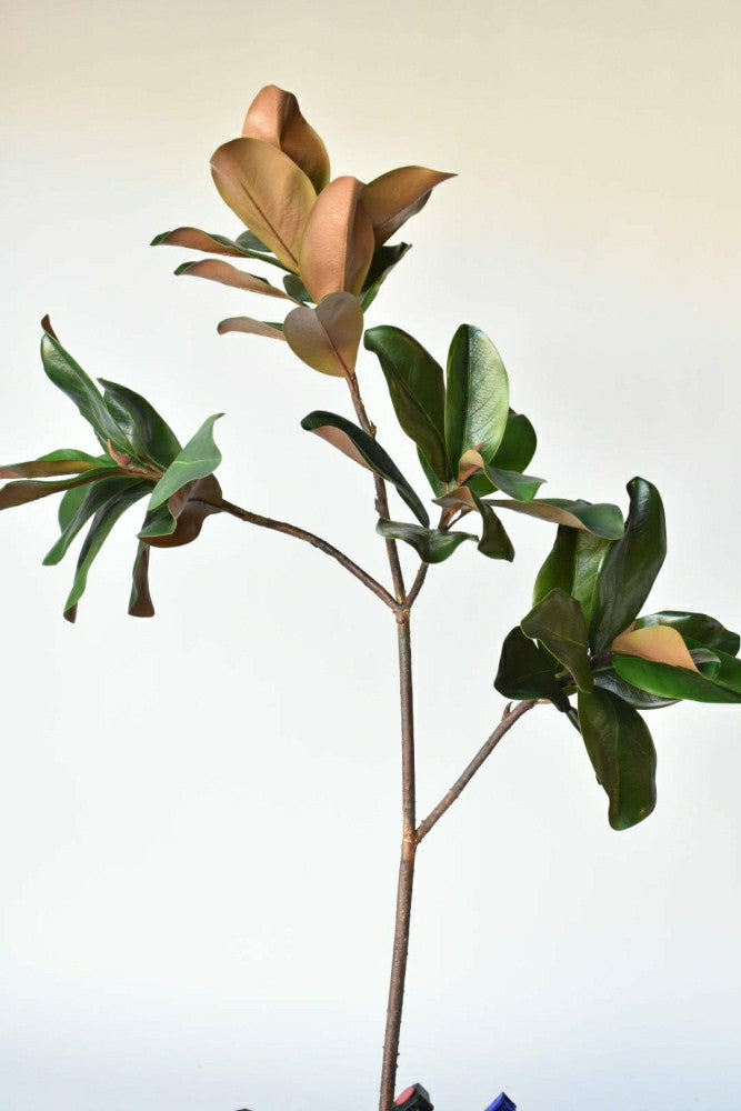 Plow & Hearth 40" Faux Magnolia Leaf Branch