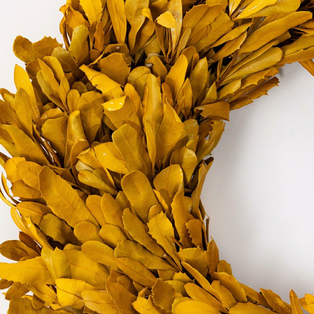 Plow & Hearth Dried 22" Natural Integrifolia Wreath, Saffron