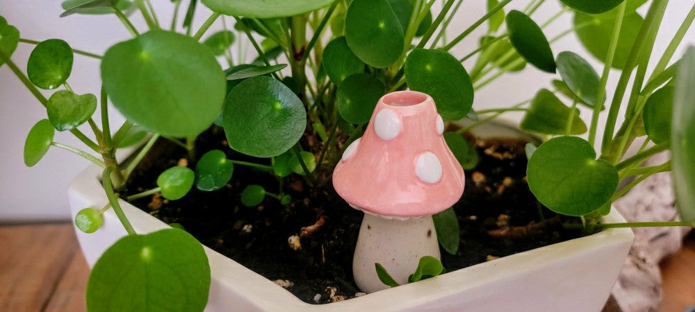 Plow & Hearth Small Toadstool Watering Spike