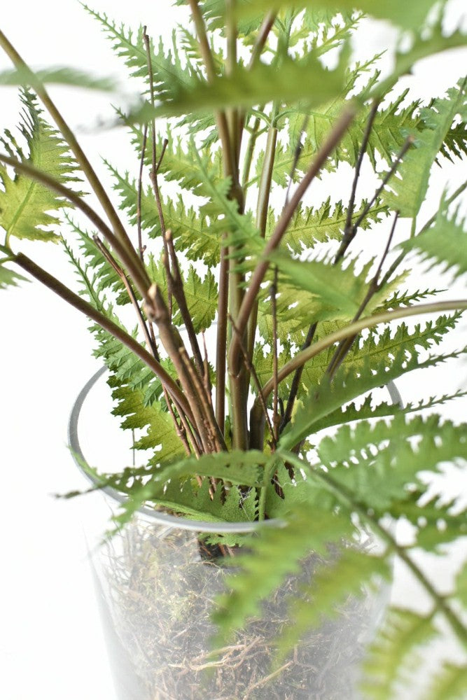 Plow & Hearth 25" Faux Forest Fern in Glass Vase