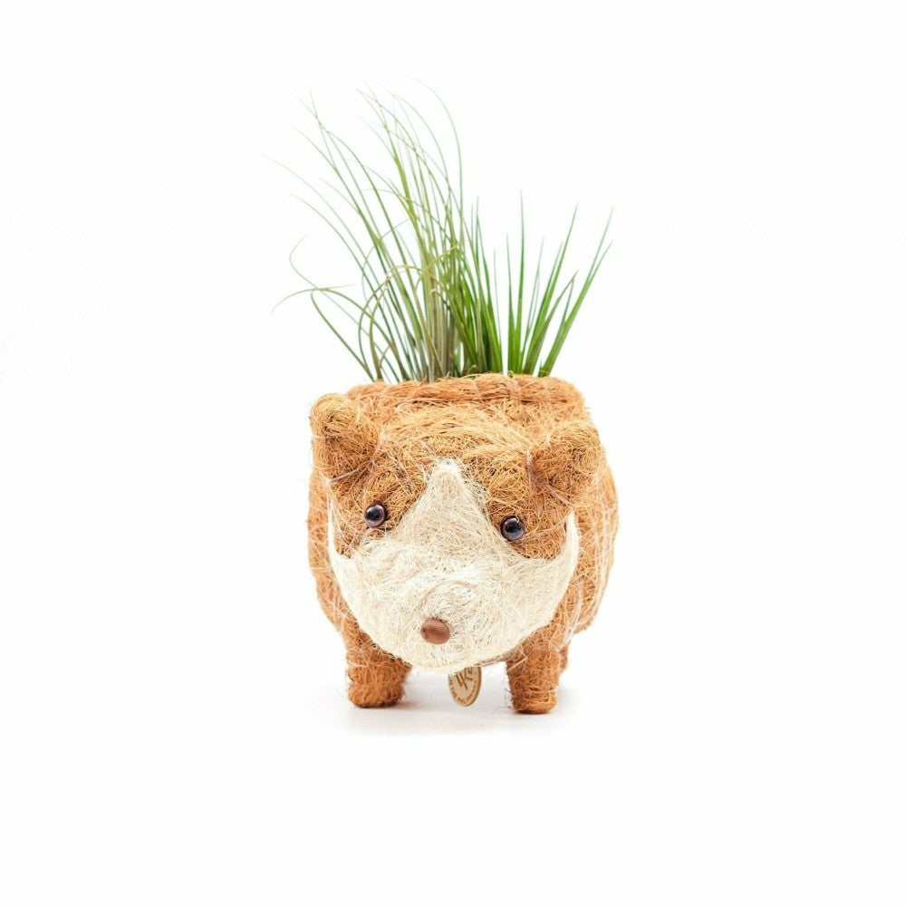 Plow & Hearth Baby Corgi Succulent Pot - Handmade Planters