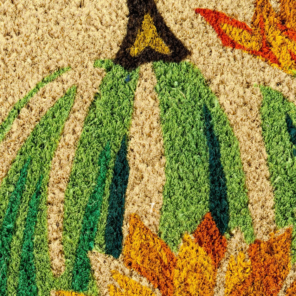 Plow & Hearth Harvest Pumpkin Coir Mat