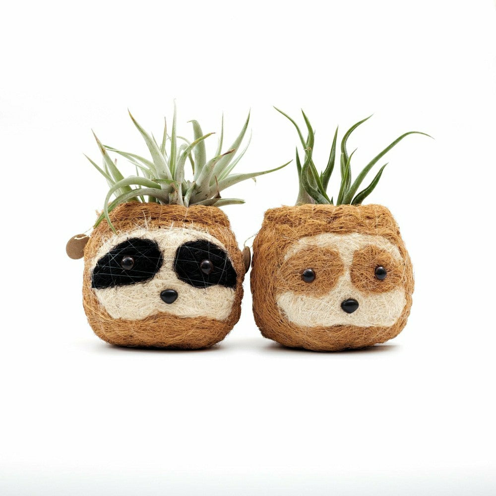 Plow & Hearth Two-tone Sloth Coco Coir Planter
