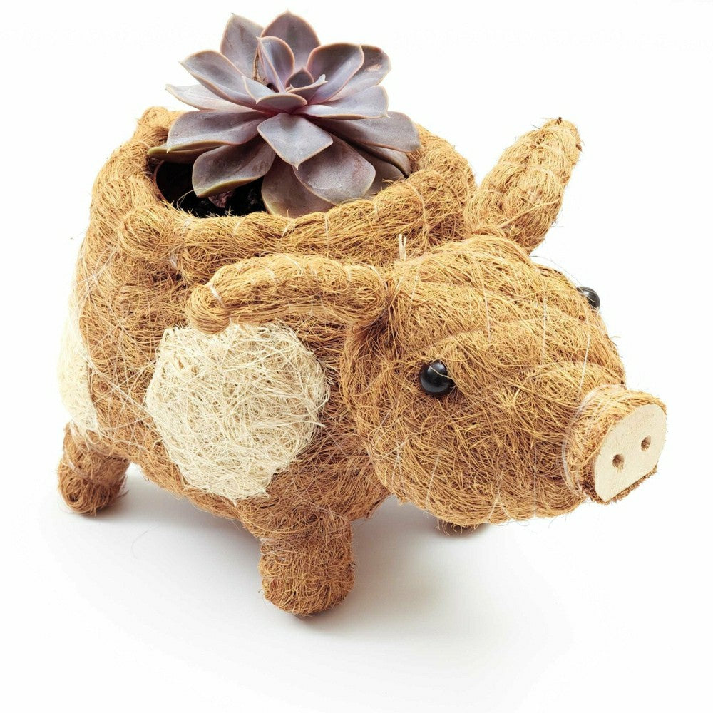 Plow & Hearth Pig Planter - Coco Coir Pots