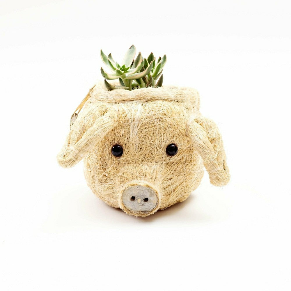 Plow & Hearth Pig Plant Pot - Animal Head Plant Pot