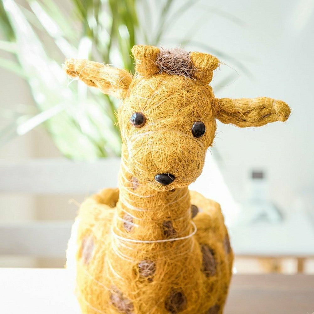 Plow & Hearth Giraffe Planter - Coco Coir Planter