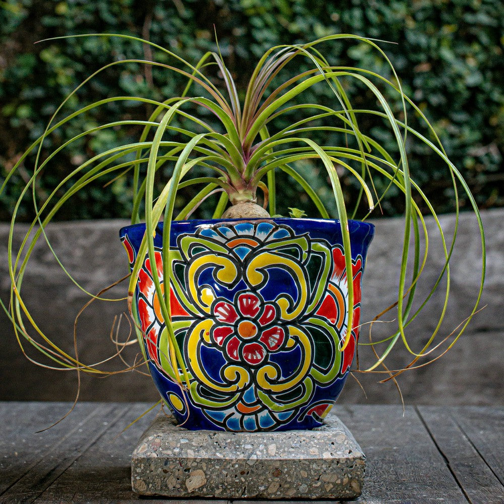 Plow & Hearth Blue Floral Talavera Planter, Medium