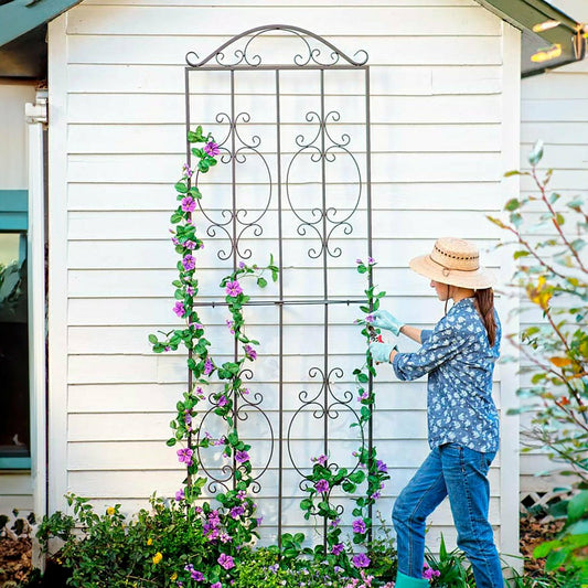 Plow & Hearth Iron Montebello Tall Trellis