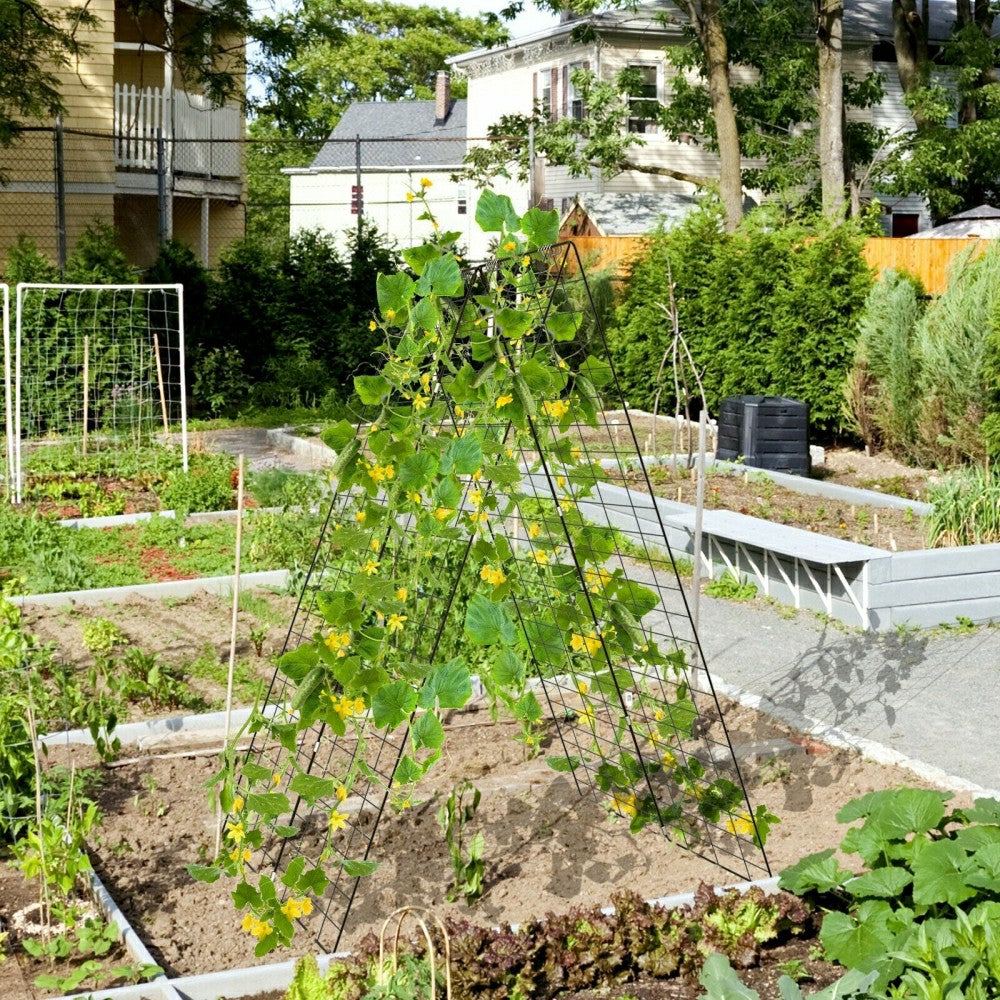 Plow & Hearth Foldable A-Frame Trellis