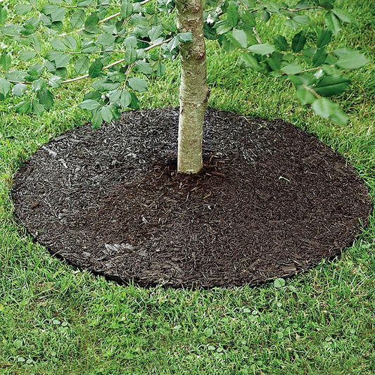 Plow & Hearth Permanent Mulch Tree Ring, 36" dia.