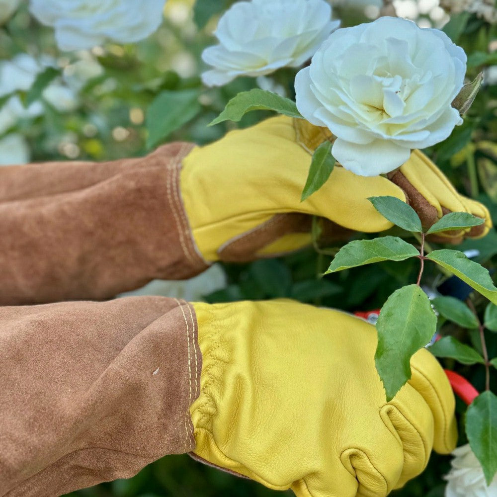 Plow & Hearth Long Garden Gloves - Rose Pruning Gloves (Soft Cowhide)
