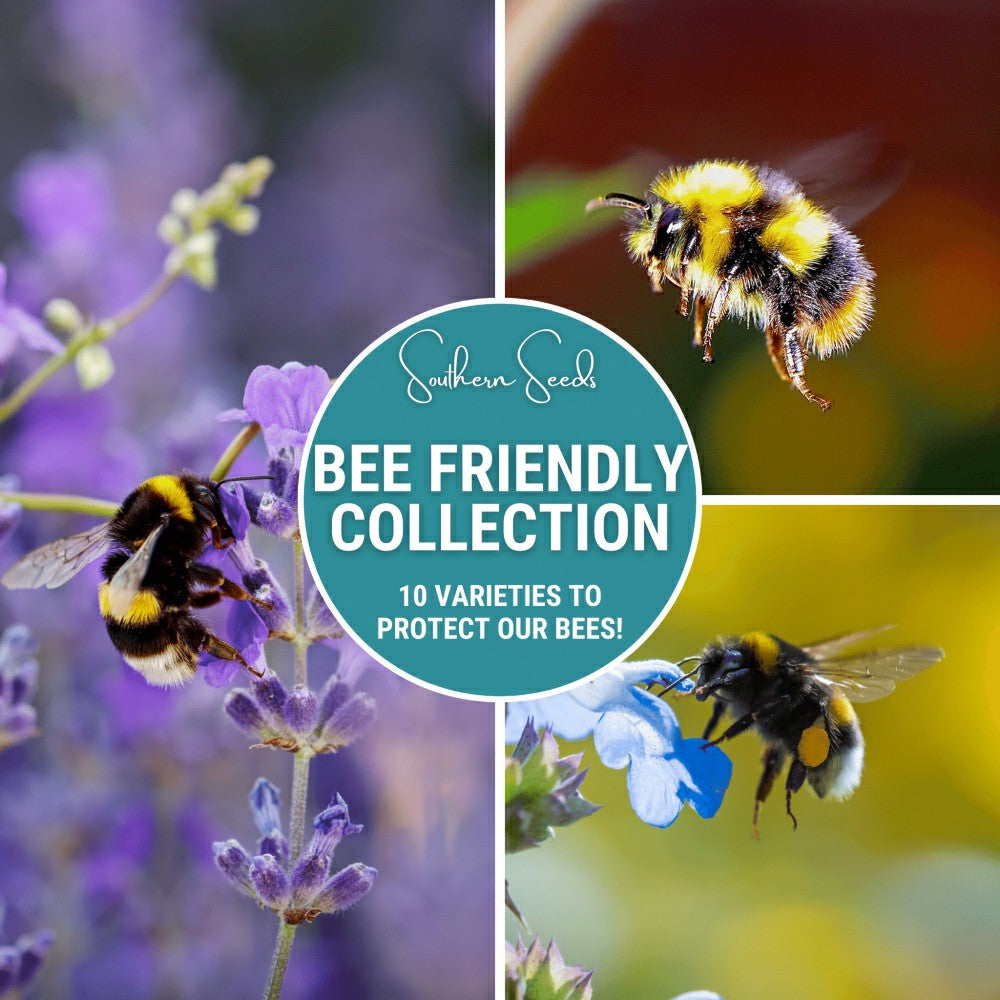 Plow & Hearth Bee Friendly Collection – 10 Flower Varieties