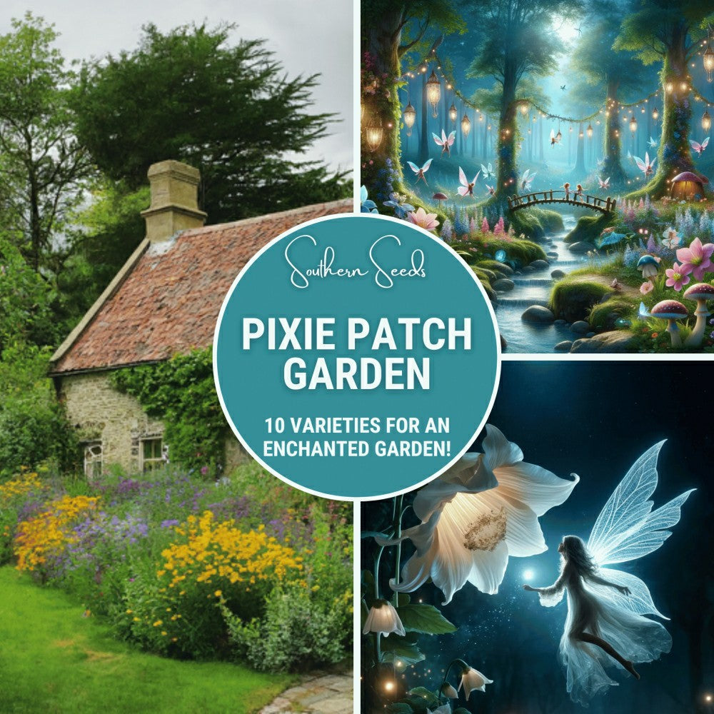Plow & Hearth Pixie Patch Seed Collection – 10 Enchanted Varieties