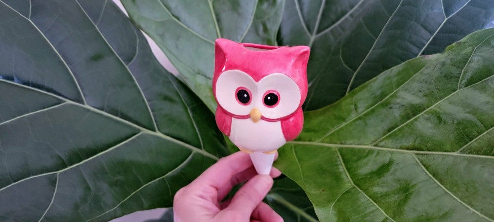 Plow & Hearth Owl Watering Spike