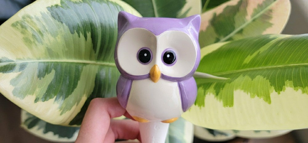 Plow & Hearth Owl Watering Spike