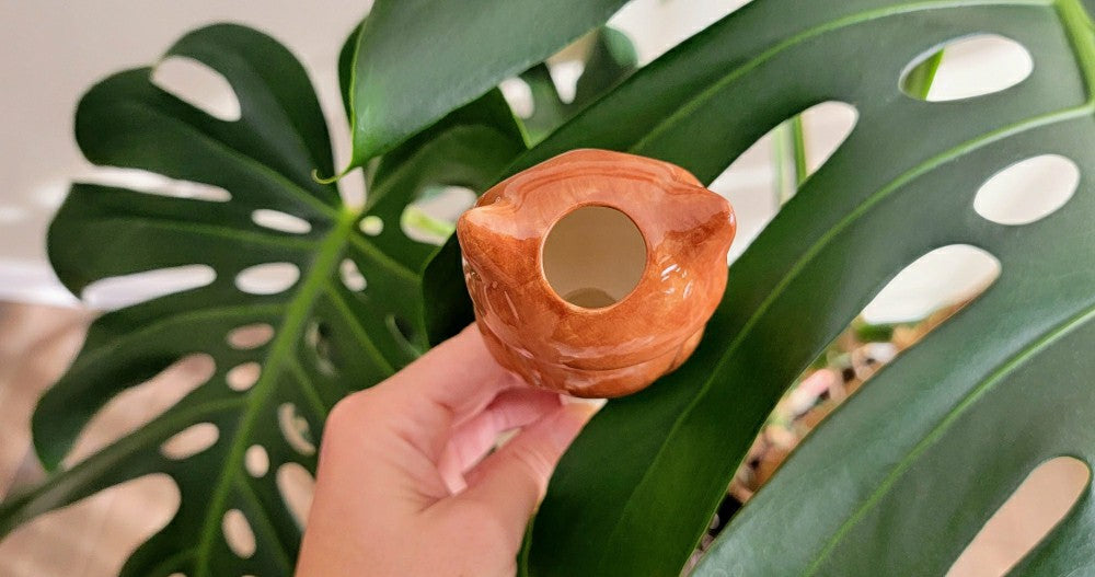 Plow & Hearth Owl Watering Spike