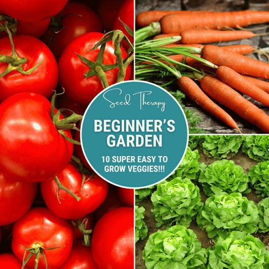 Plow & Hearth Beginner Vegetable Seed Collection – 10 Varieties