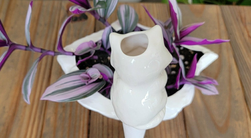 Plow & Hearth Cat Watering Spike