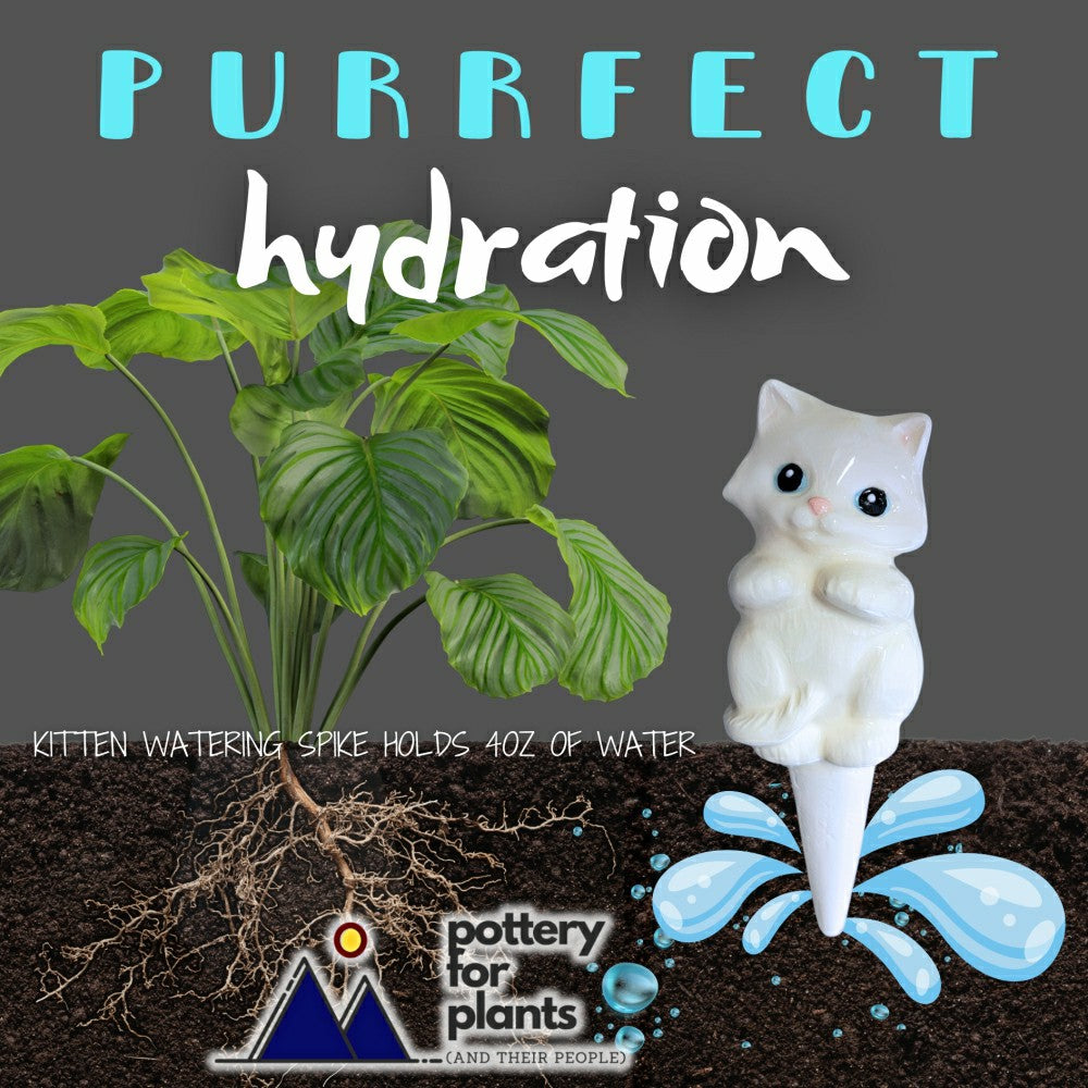 Plow & Hearth Cat Watering Spike