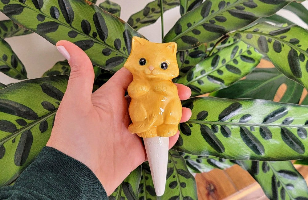Plow & Hearth Cat Watering Spike