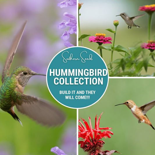 Plow & Hearth Hummingbird Garden Seed Collection – 10 Varieties