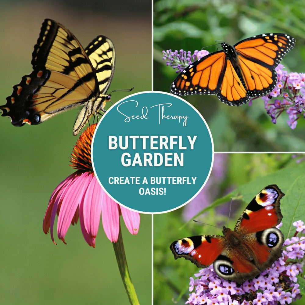 Plow & Hearth Butterfly Garden Seed Collection – 10 Varieties