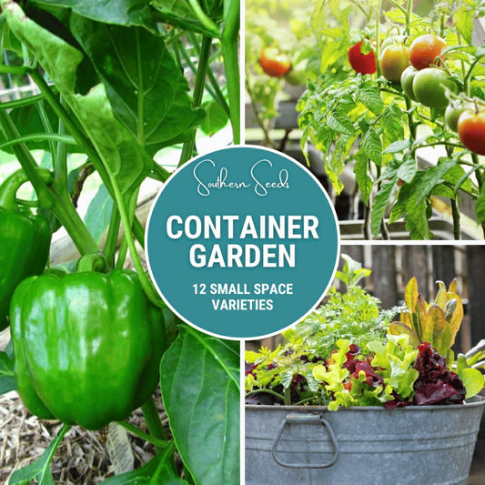 Plow & Hearth Container Garden Seed Collection – 12 Varieties