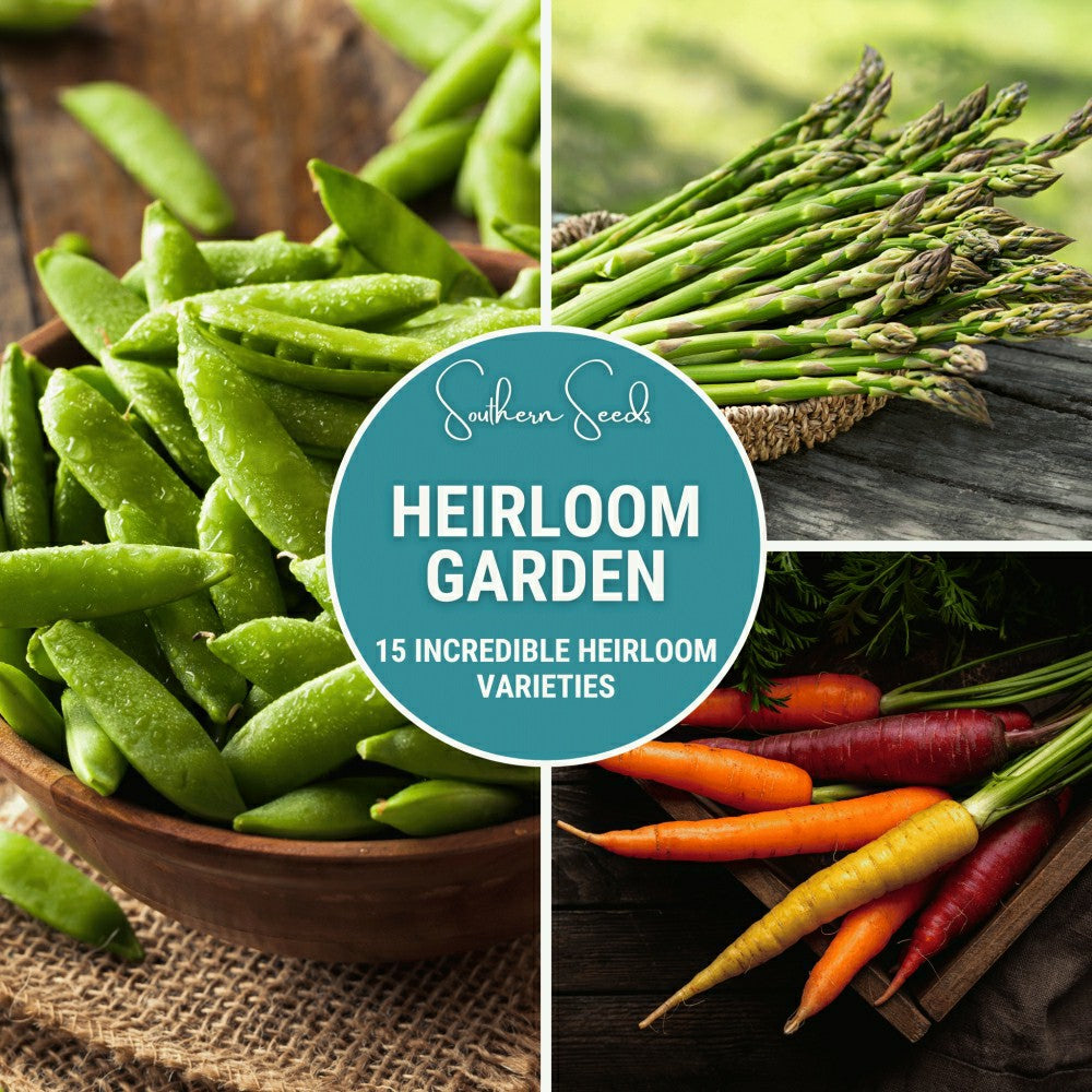 Plow & Hearth Heirloom Vegetable Seed Collection – 15 Varieties