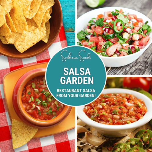 Plow & Hearth Salsa Seed Collection – Restaurant Style – 10 Amazing Varieties