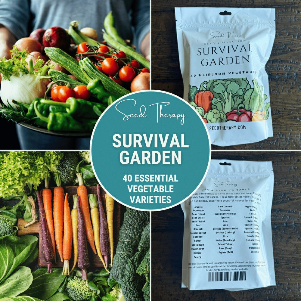 Plow & Hearth Survival Garden Combo – 40 Vegetable & 40 Medicinal Herb Varieties