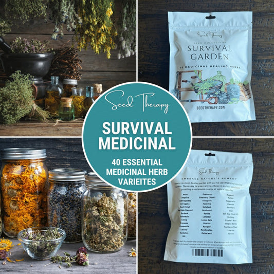 Plow & Hearth Survival Medicinal Herb Garden – 40 Essential Varieties