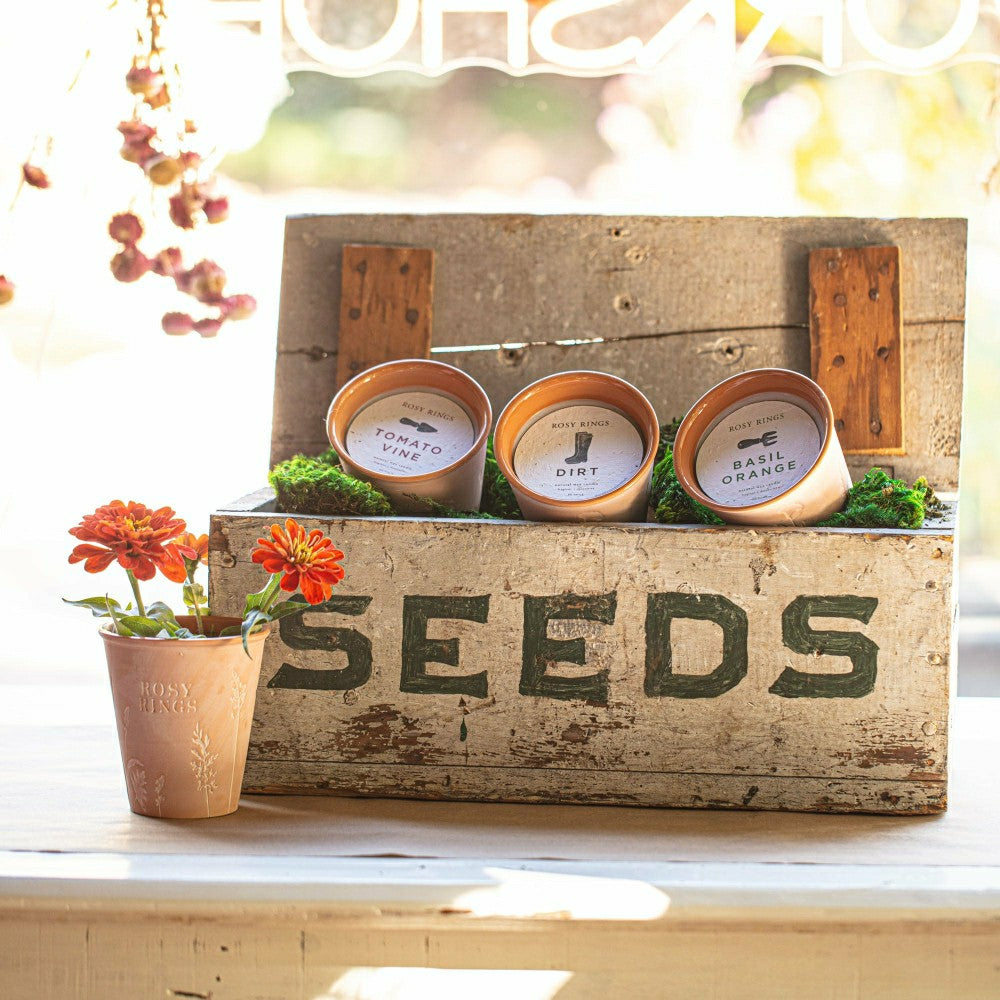 Plow & Hearth Basil Orange Garden Pot Candle + Plantable Seed Paper Dust Covers