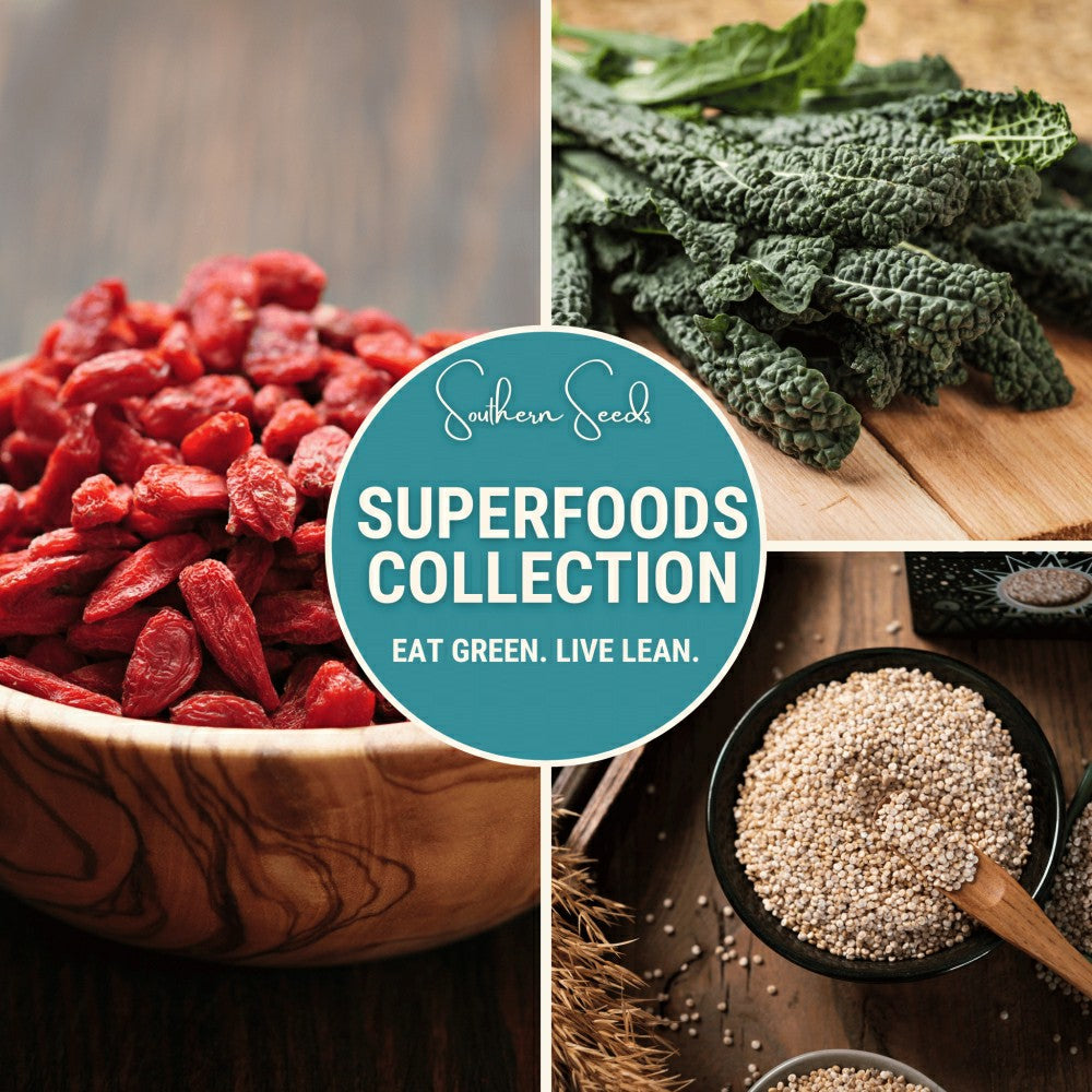 Plow & Hearth Superfoods Seed Collection – 7 Heirloom Varieties