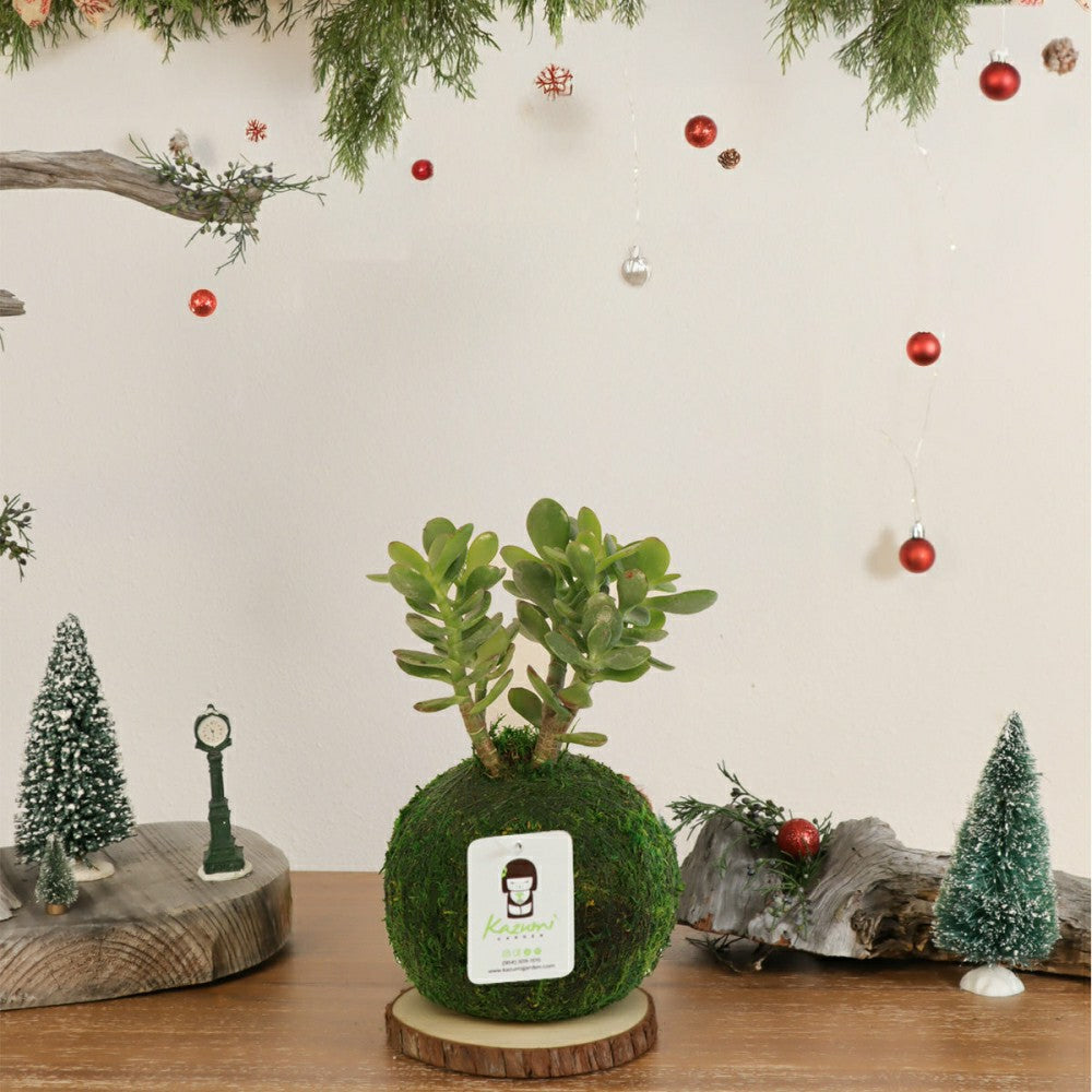 Plow & Hearth Jade