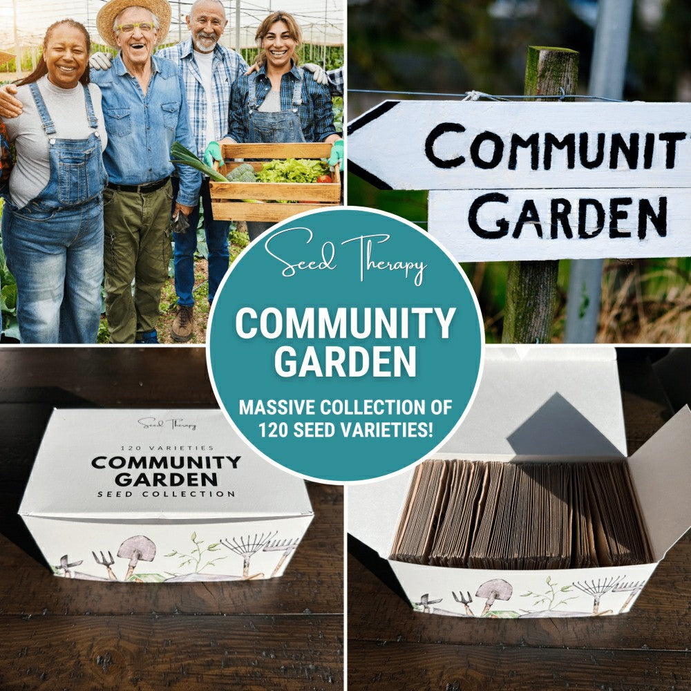 Plow & Hearth Community Garden Survival Seed Vault – 120 Seed Varieties