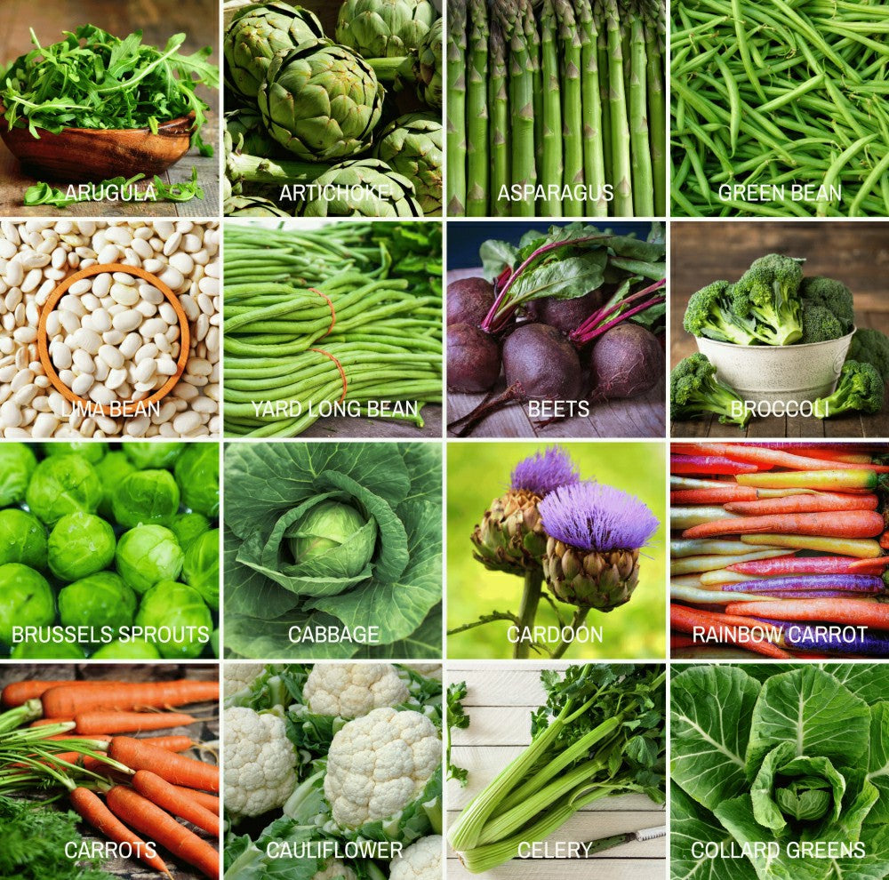 Plow & Hearth Community Garden Survival Seed Vault – 120 Seed Varieties