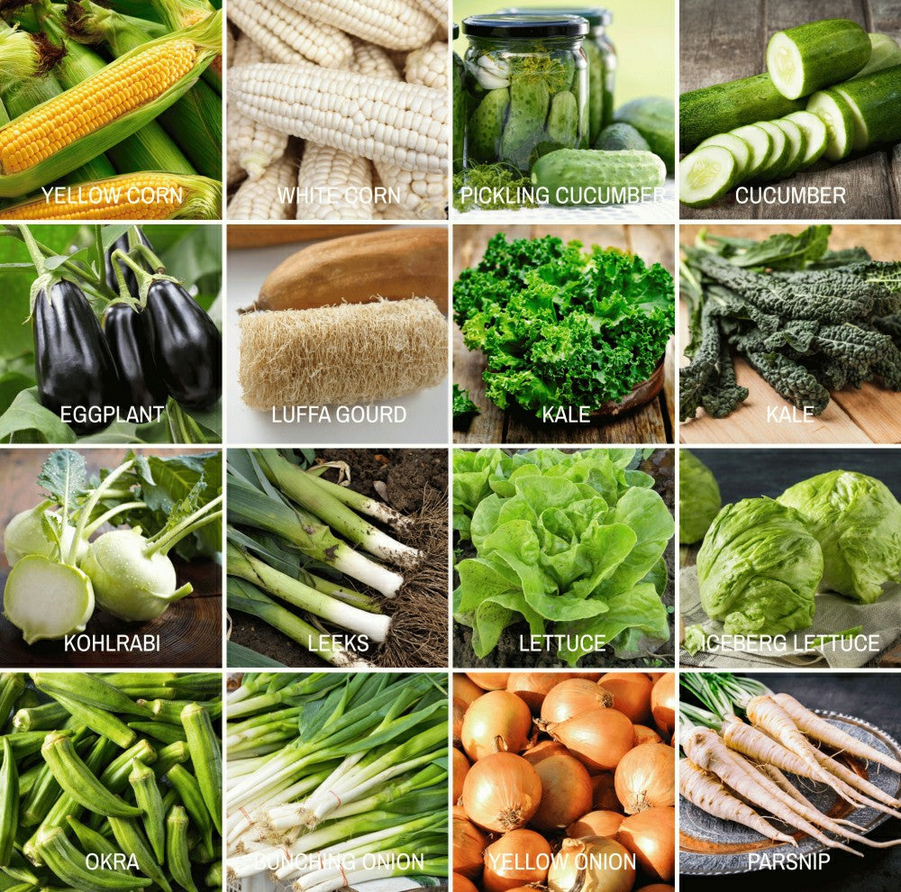 Plow & Hearth Community Garden Survival Seed Vault – 120 Seed Varieties