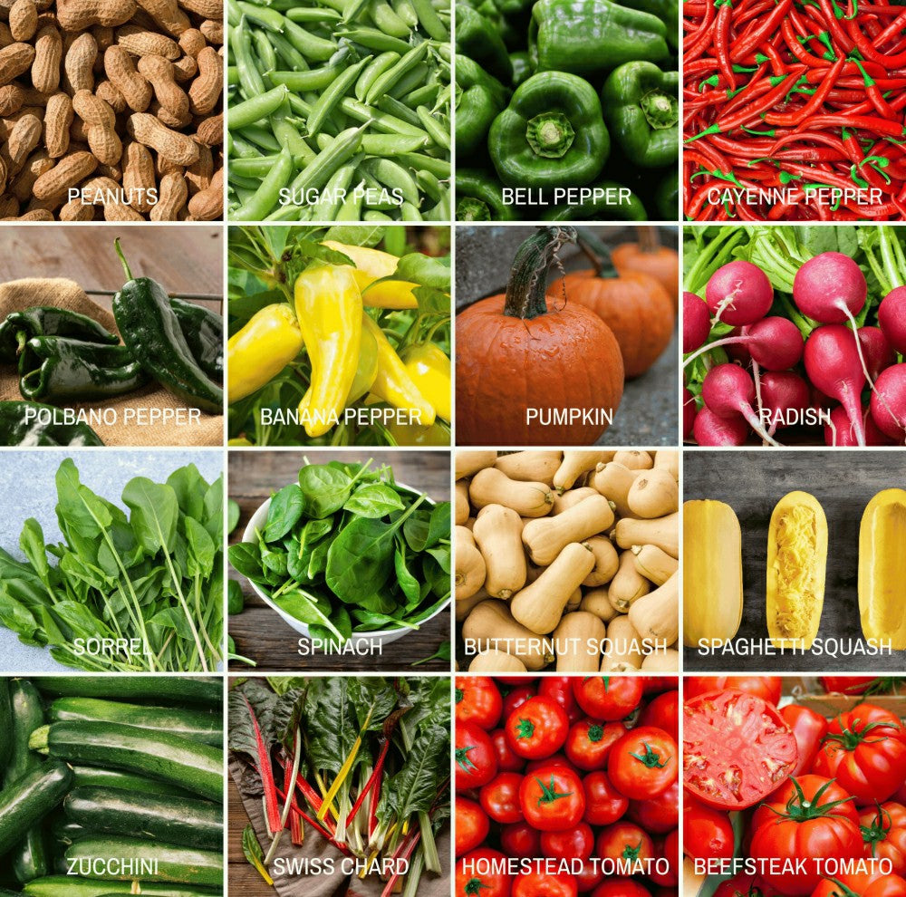 Plow & Hearth Community Garden Survival Seed Vault – 120 Seed Varieties