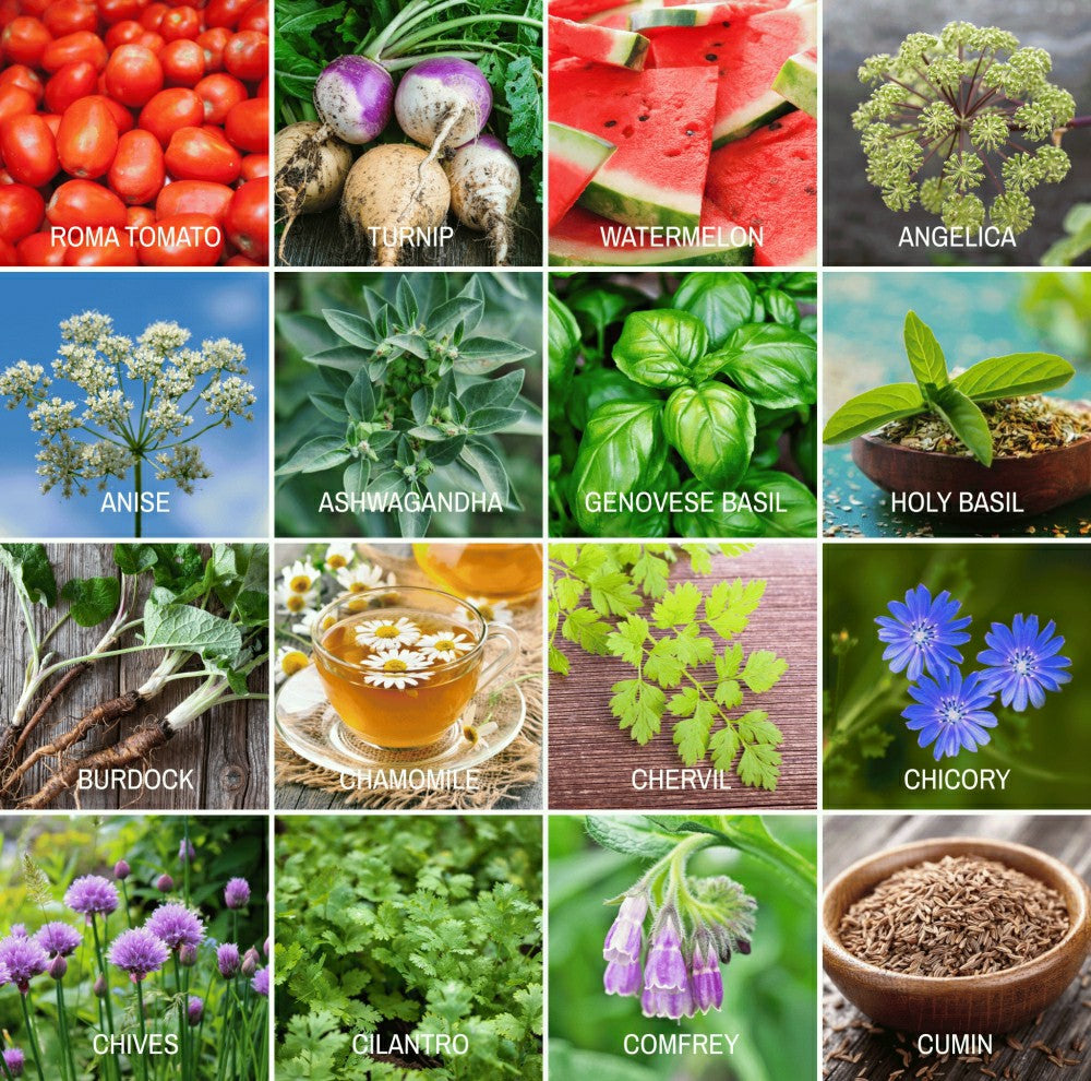 Plow & Hearth Community Garden Survival Seed Vault – 120 Seed Varieties
