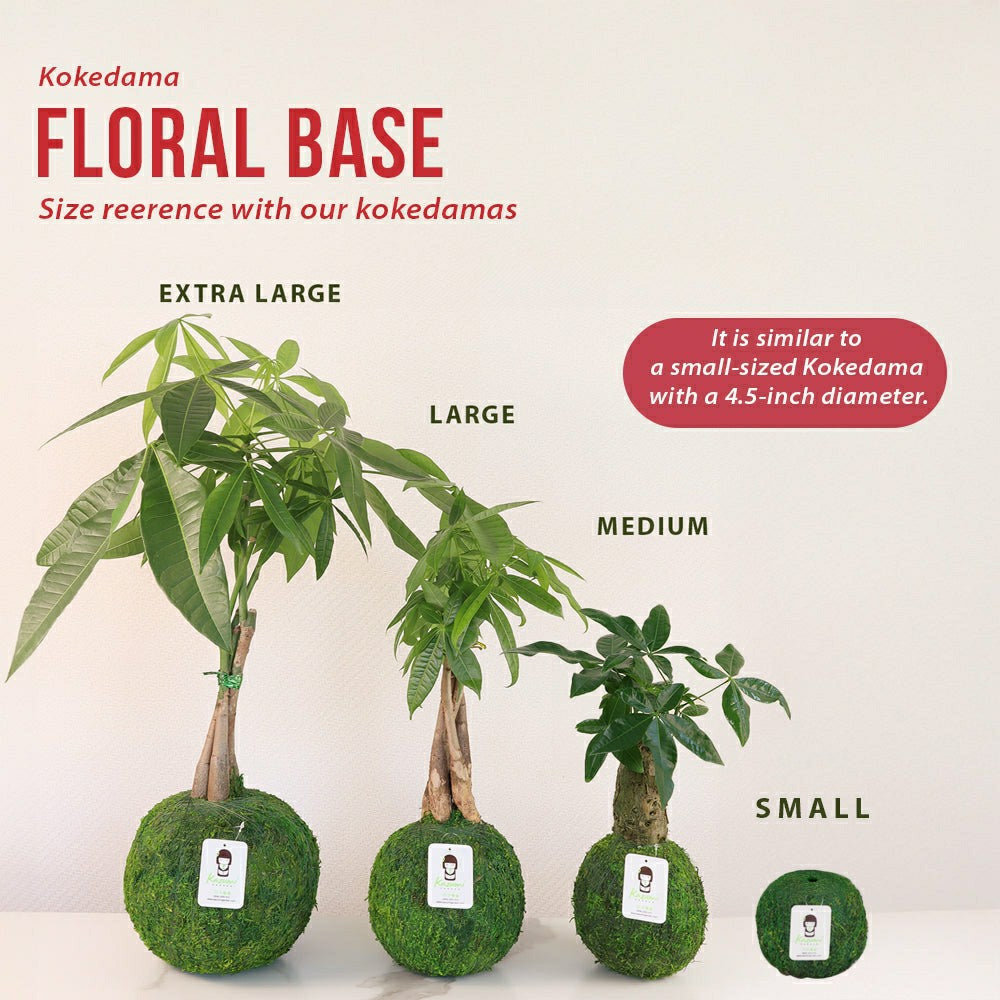 Plow & Hearth Natural MOSS 4.5" Kokedama Floral Base - Perfect for Single Stems, Fre