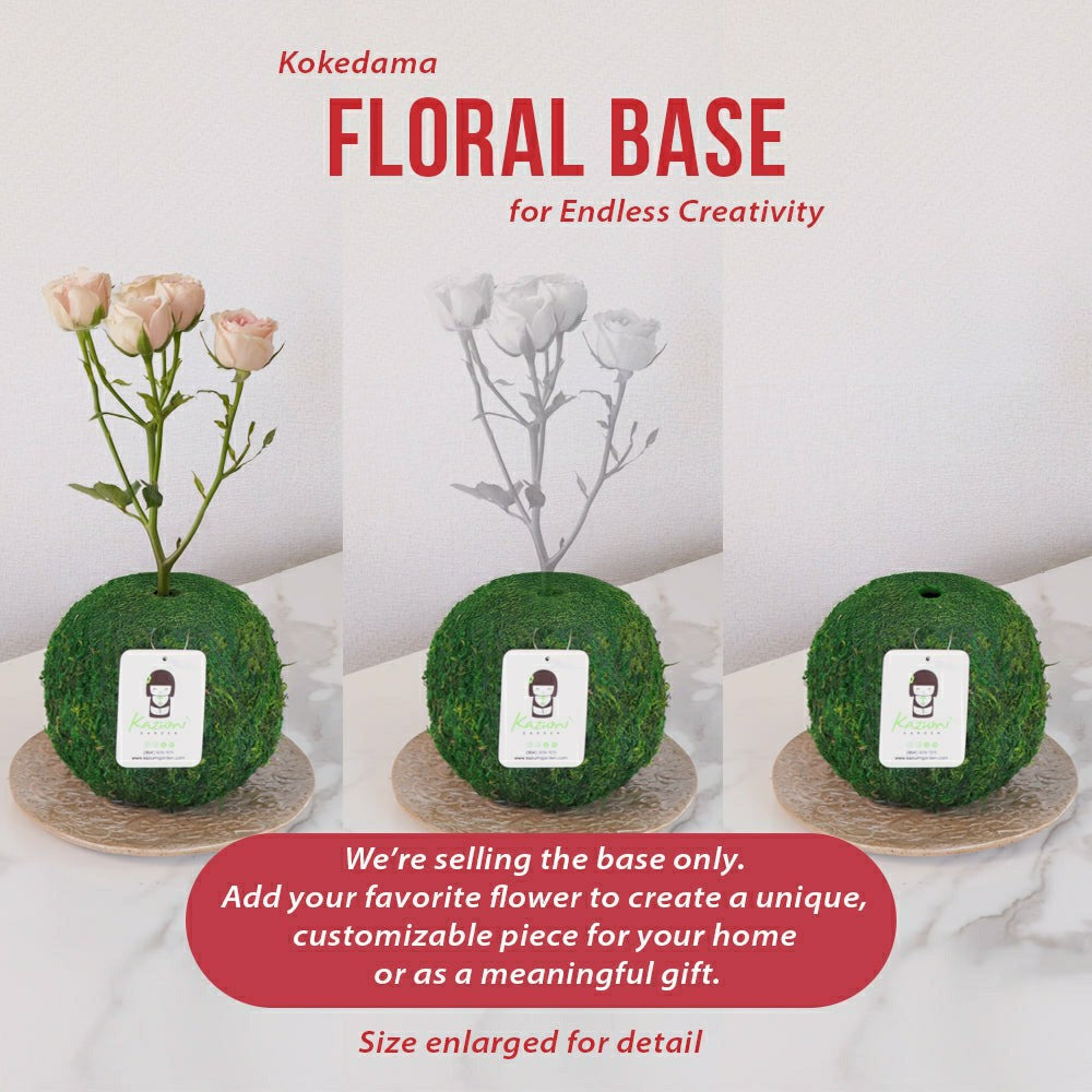 Plow & Hearth Natural MOSS 4.5" Kokedama Floral Base - Perfect for Single Stems, Fre